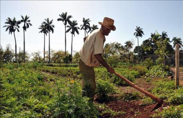 Alcalde Rafael Feliz Segura conmemora el Día del Agricultor Dominicano